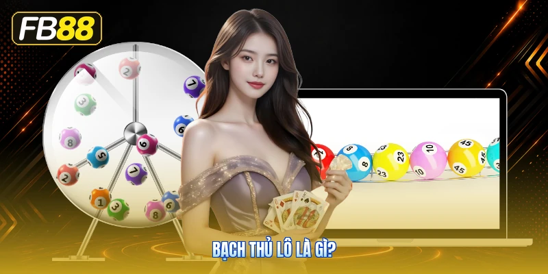 Bạch Thủ Lô Là Gì?