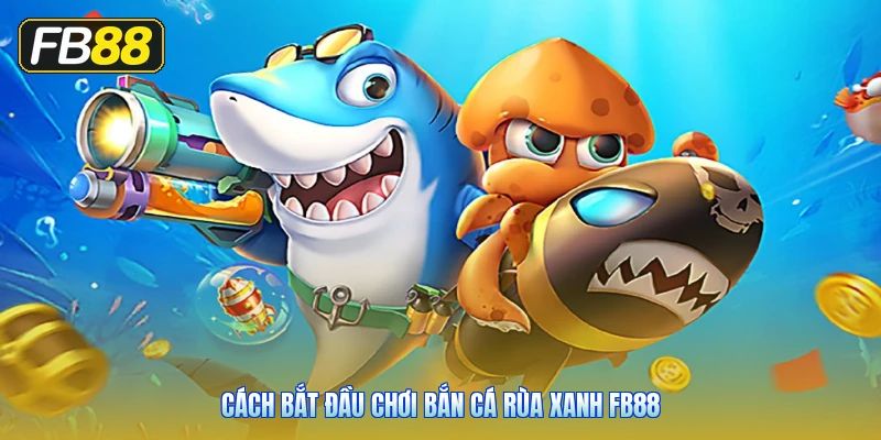 Cách Bắt Đầu Chơi Bắn Cá Rùa Xanh FB88