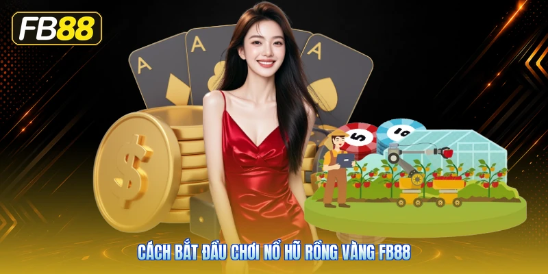 Cách Bắt Đầu Chơi Nổ Hũ Rồng Vàng FB88
