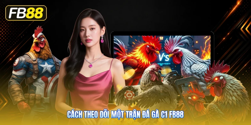 Cách Theo Dõi Một Trận Đá Gà C1 FB88