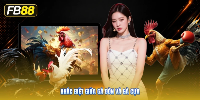 Khác Biệt Giữa Gà Đòn Và Gà Cựa