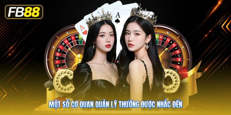 Một Số Cơ Quan Quản Lý Thường Được Nhắc Đến